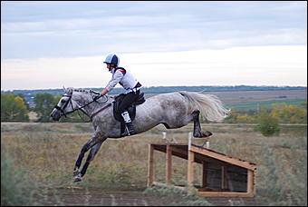 29-31 августа 2011 г., Барнаул   Официальные соревнования по конному троеборью