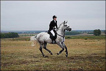 29-31 августа 2011 г., Барнаул   Официальные соревнования по конному троеборью