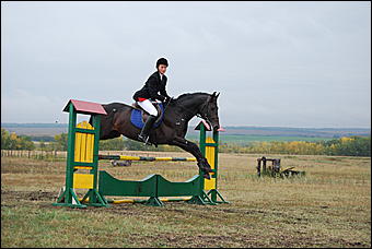 29-31 августа 2011 г., Барнаул   Официальные соревнования по конному троеборью