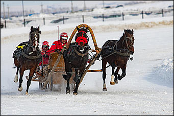 27 февраль 2017 г., Барнаул © Амител Вячеслав Мельников   "Что ж вы кони мои привередливые..." Межрегиональный конноспортивный праздник состоялся на ипподроме "Сибирского подворья" 