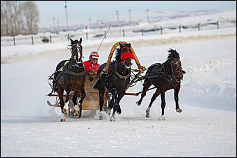 27 февраль 2017 г., Барнаул © Амител Вячеслав Мельников   "Что ж вы кони мои привередливые..." Межрегиональный конноспортивный праздник состоялся на ипподроме "Сибирского подворья" 