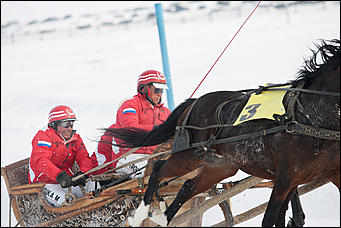 27 февраль 2017 г., Барнаул © Амител Вячеслав Мельников   "Что ж вы кони мои привередливые..." Межрегиональный конноспортивный праздник состоялся на ипподроме "Сибирского подворья" 