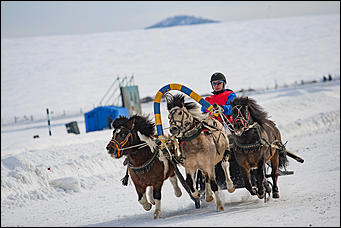 27 февраль 2017 г., Барнаул © Амител Вячеслав Мельников   "Что ж вы кони мои привередливые..." Межрегиональный конноспортивный праздник состоялся на ипподроме "Сибирского подворья" 