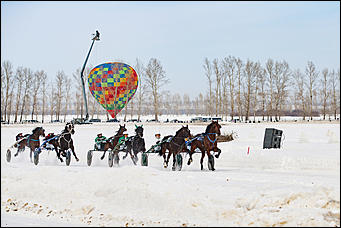 27 февраль 2017 г., Барнаул © Амител Вячеслав Мельников   "Что ж вы кони мои привередливые..." Межрегиональный конноспортивный праздник состоялся на ипподроме "Сибирского подворья" 