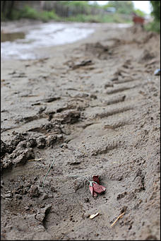 28 август 2014 г., Бобровка   Вандализм? Человеческие останки с кладбищенской землей