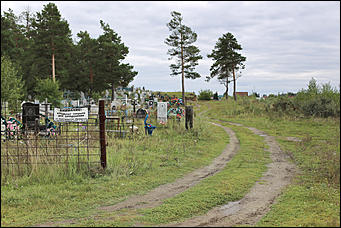 28 август 2014 г., Бобровка   Вандализм? Человеческие останки с кладбищенской землей