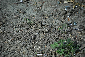 8 августа 2018 г., Барнаул. Екатерина Смолихина   Любимый и забытый: фотопрогулка по "барнаульскому Ковшу"