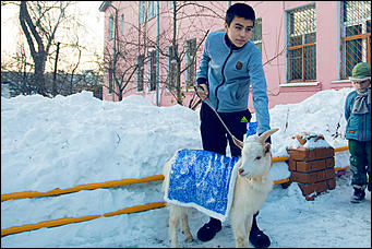 18 декабря 2015 г. Барнаул   Белый козленок поздравил с наступающим Новым годом барнаульский детский дом