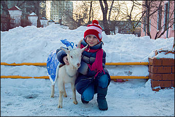 18 декабря 2015 г. Барнаул   Белый козленок поздравил с наступающим Новым годом барнаульский детский дом