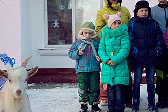 18 декабря 2015 г. Барнаул   Белый козленок поздравил с наступающим Новым годом барнаульский детский дом