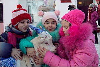 18 декабря 2015 г. Барнаул   Белый козленок поздравил с наступающим Новым годом барнаульский детский дом