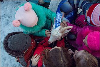 18 декабря 2015 г. Барнаул   Белый козленок поздравил с наступающим Новым годом барнаульский детский дом