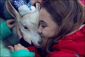 18 декабря 2015 г. Барнаул   Белый козленок поздравил с наступающим Новым годом барнаульский детский дом