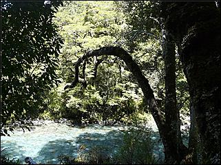 День 14. 13 декабря. Фьорды   Четвертый день пребывания барнаульского путешественника в Новой Зеландии