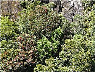 День 14. 13 декабря. Фьорды   Четвертый день пребывания барнаульского путешественника в Новой Зеландии