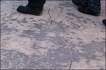 19 января 2011 г., Барнаул   Крещенские купания