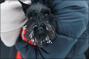 19 января 2020 г., Барнаул. Екатерина Смолихина   Боятся, но купаются. Как в Барнауле прошло Крещение Господне