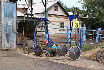 19 августа 2007г., Барнаул   Конно-спортивные состязания на "Кубок губернатора" (фото Кристины Красниковой)