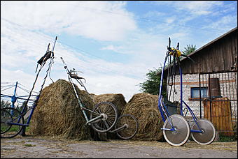 19 августа 2007г., Барнаул   Конно-спортивные состязания на "Кубок губернатора" (фото Кристины Красниковой)