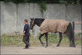 19 августа 2007г., Барнаул   Конно-спортивные состязания на "Кубок губернатора" (фото Кристины Красниковой)