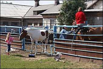 19 августа 2007г., Барнаул   Конно-спортивные состязания на "Кубок губернатора" (фото Кристины Красниковой)