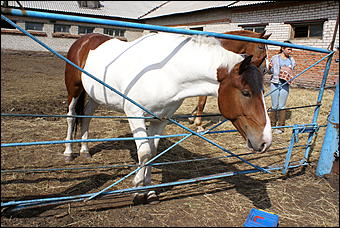 19 августа 2007г., Барнаул   Конно-спортивные состязания на "Кубок губернатора" (фото Кристины Красниковой)