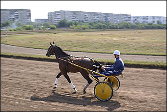 19 августа 2007г., Барнаул   Конно-спортивные состязания на "Кубок губернатора" (фото Кристины Красниковой)