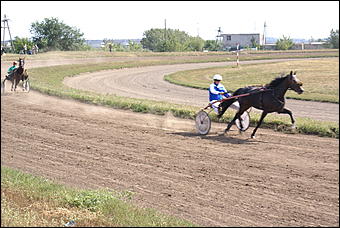 19 августа 2007г., Барнаул   Конно-спортивные состязания на "Кубок губернатора" (фото Кристины Красниковой)