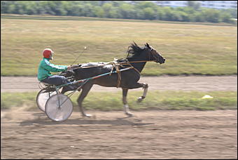 19 августа 2007г., Барнаул   Конно-спортивные состязания на "Кубок губернатора" (фото Кристины Красниковой)