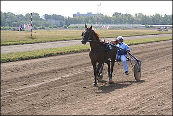 19 августа 2007г., Барнаул   Конно-спортивные состязания на "Кубок губернатора" (фото Кристины Красниковой)
