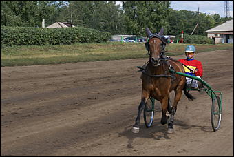 19 августа 2007г., Барнаул   Конно-спортивные состязания на "Кубок губернатора" (фото Кристины Красниковой)