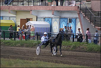 19 августа 2007г., Барнаул   Конно-спортивные состязания на "Кубок губернатора" (фото Кристины Красниковой)