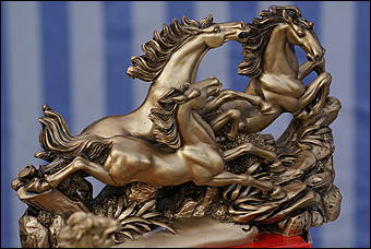 19 августа 2007г., Барнаул   Конно-спортивные состязания на "Кубок губернатора" (фото Кристины Красниковой)