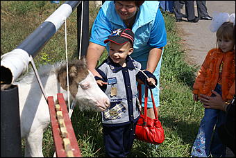 19 августа 2007г., Барнаул   Конно-спортивные состязания на "Кубок губернатора" (фото Кристины Красниковой)