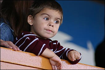 19 августа 2007г., Барнаул   Конно-спортивные состязания на "Кубок губернатора" (фото Кристины Красниковой)