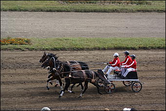 19 августа 2007г., Барнаул   Конно-спортивные состязания на "Кубок губернатора" (фото Кристины Красниковой)