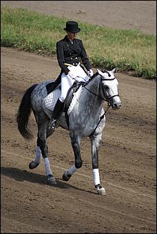 19 августа 2007г., Барнаул   Конно-спортивные состязания на "Кубок губернатора" (фото Кристины Красниковой)