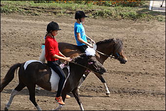 19 августа 2007г., Барнаул   Конно-спортивные состязания на "Кубок губернатора" (фото Кристины Красниковой)