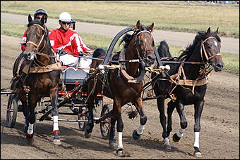19 августа 2007г., Барнаул   Конно-спортивные состязания на "Кубок губернатора" (фото Кристины Красниковой)