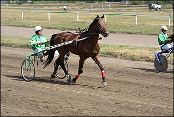 19 августа 2007г., Барнаул   Конно-спортивные состязания на "Кубок губернатора" (фото Кристины Красниковой)