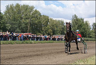 19 августа 2007г., Барнаул   Конно-спортивные состязания на "Кубок губернатора" (фото Кристины Красниковой)