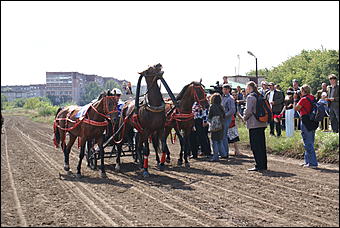 19 августа 2007г., Барнаул   Конно-спортивные состязания на "Кубок губернатора" (фото Кристины Красниковой)