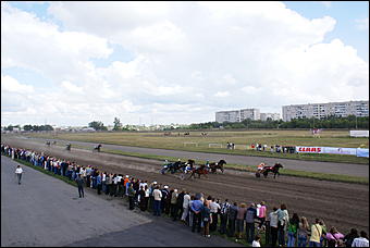 19 августа 2007г., Барнаул   Конно-спортивные состязания на "Кубок губернатора" (фото Кристины Красниковой)