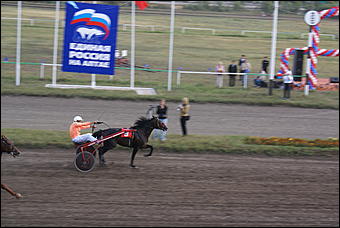 19 августа 2007г., Барнаул   Конно-спортивные состязания на "Кубок губернатора" (фото Кристины Красниковой)