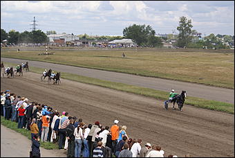 19 августа 2007г., Барнаул   Конно-спортивные состязания на "Кубок губернатора" (фото Кристины Красниковой)