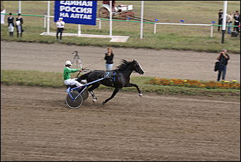 19 августа 2007г., Барнаул   Конно-спортивные состязания на "Кубок губернатора" (фото Кристины Красниковой)