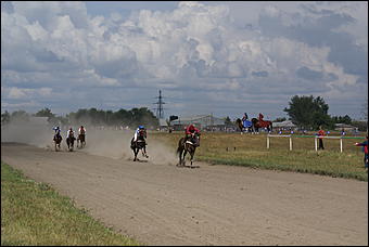 19 августа 2007г., Барнаул   Конно-спортивные состязания на "Кубок губернатора" (фото Кристины Красниковой)
