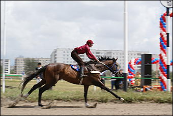 19 августа 2007г., Барнаул   Конно-спортивные состязания на "Кубок губернатора" (фото Кристины Красниковой)