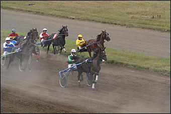 19 августа 2007г., Барнаул   Конно-спортивные состязания на "Кубок губернатора" (фото Кристины Красниковой)