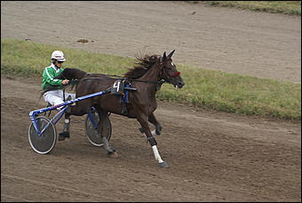 19 августа 2007г., Барнаул   Конно-спортивные состязания на "Кубок губернатора" (фото Кристины Красниковой)